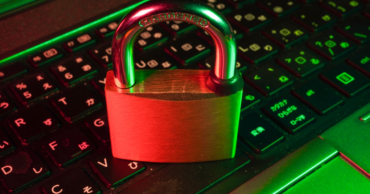 Digital security shield and lock protecting business data